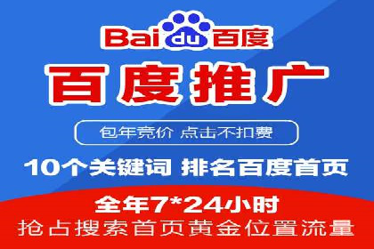 百度搜索推广实战技巧：成功案例启示录